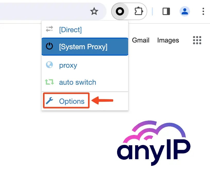 How to access the Options in the Proxy SwitchyOmega 3 extension.