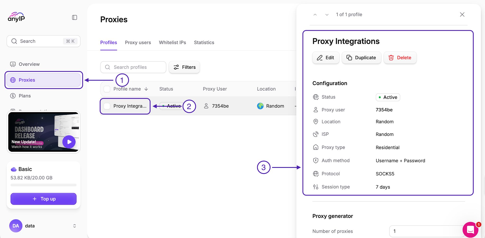 anyIP proxy profile credentials