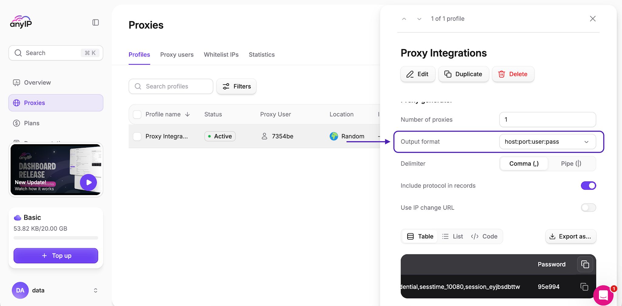 anyIP proxy output format settings