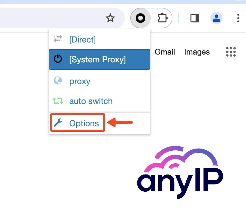 This screenshot shows how to access the “Options” dashboard in Proxy SwitchyOmega.