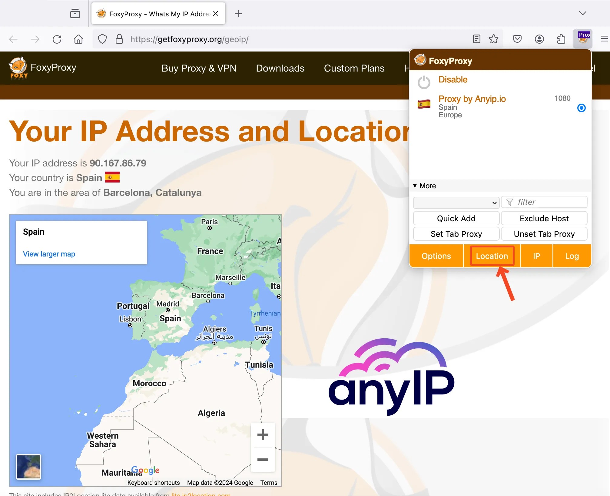 This screenshot shows how to check your IP in FoxyProxy.