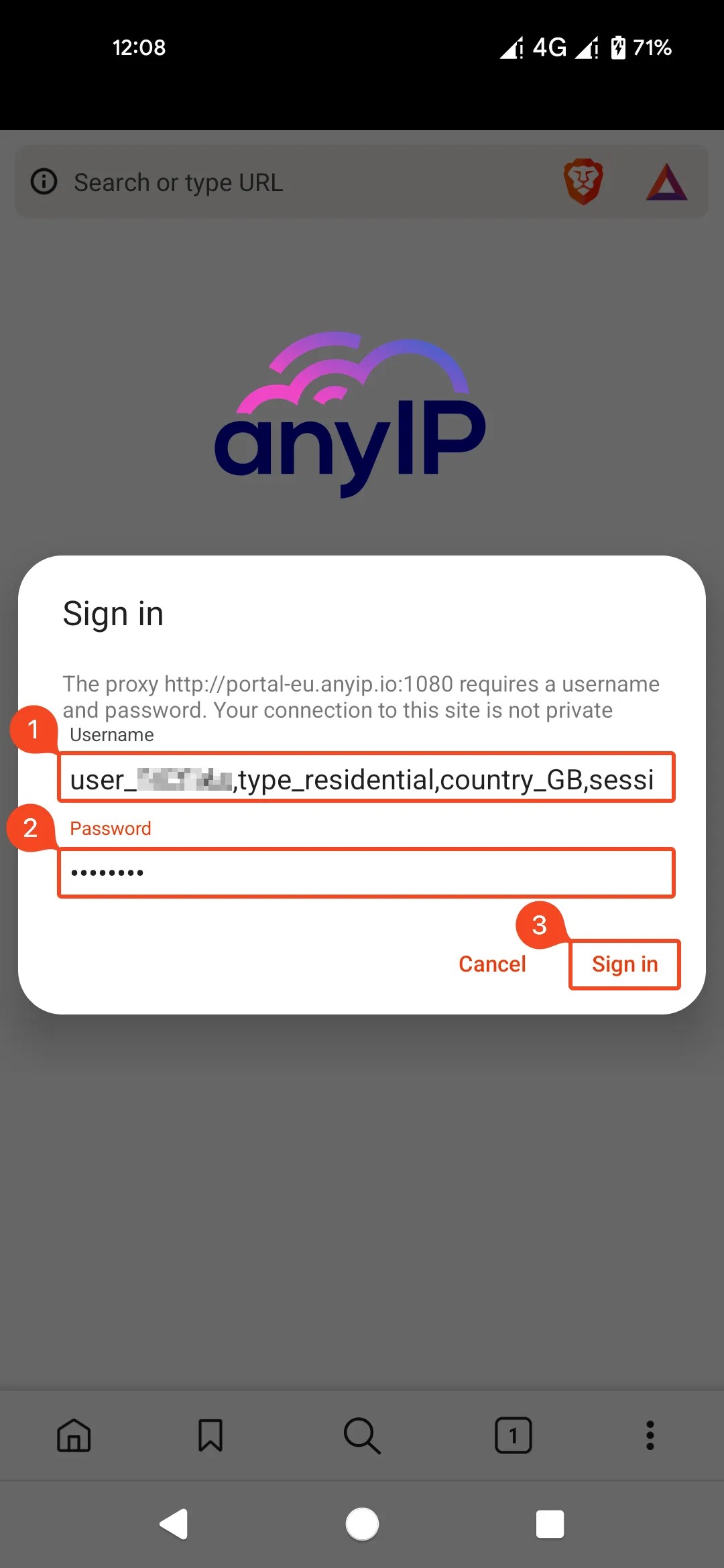 This screenshot shows the sign-in form to connect to your proxy.