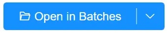 Open in batches button in the ixBrowser application