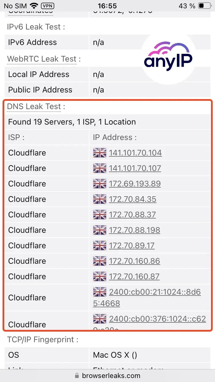 Browserleaks.com DNS leak test result shows no issue while using the proxy 