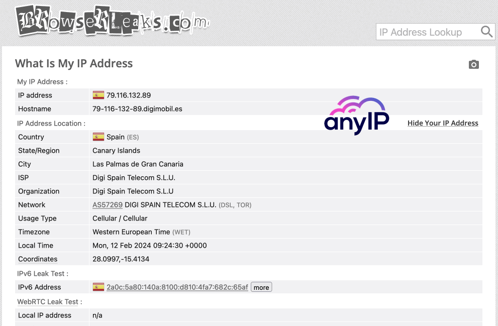 GIF showing how to run a DNS leak test on browserleaks.com/ip.