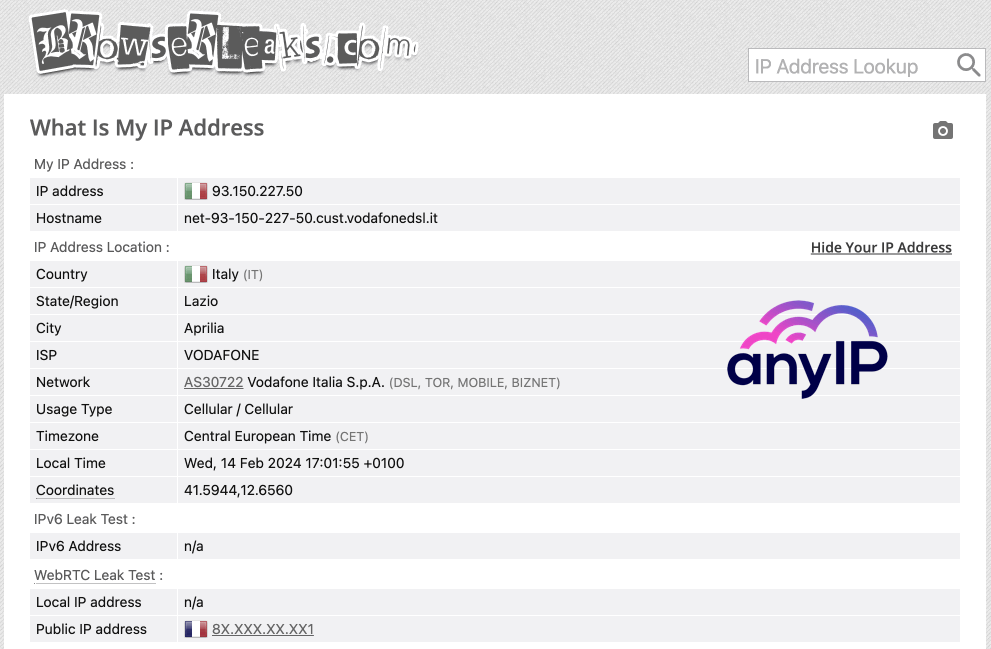 GIF showing how to run a DNS leak test on browserleaks.com/ip.