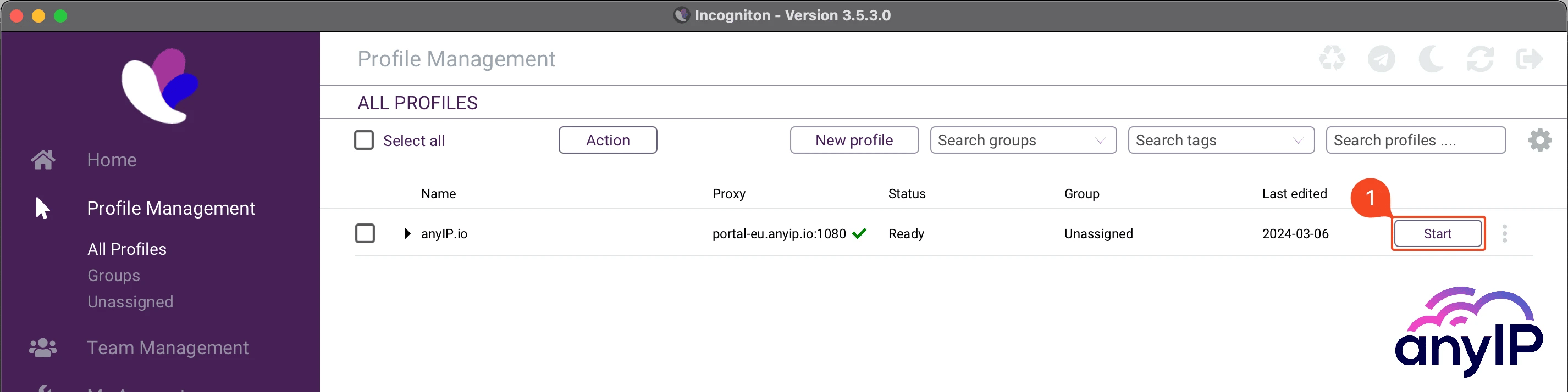 This screenshot shows how to start a browser profile on the Incogniton dashboard.