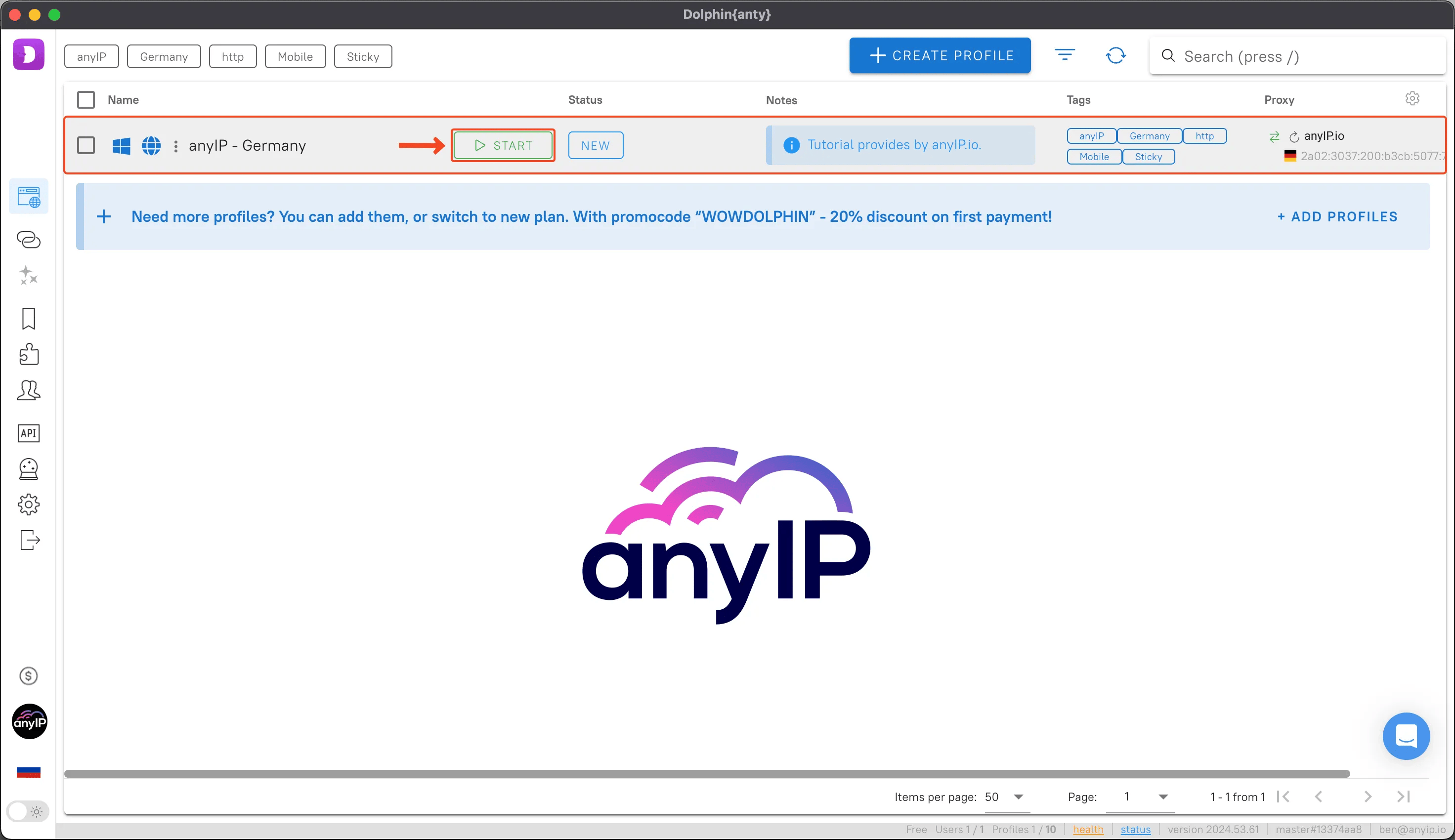 This screenshot shows how to start a profile on the Dolphin Anty desktop application.