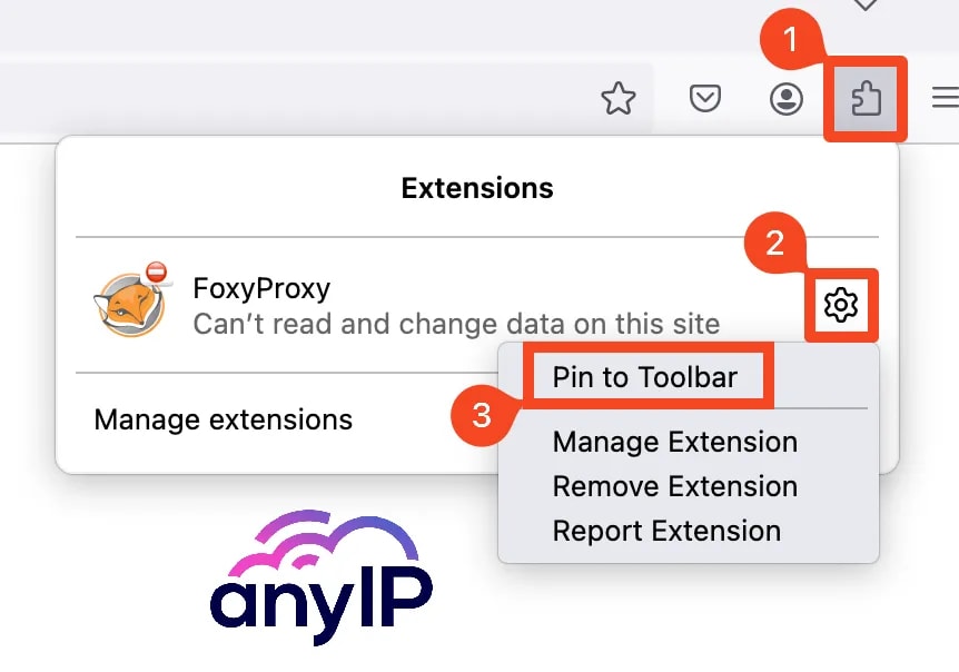 This screenshot shows how to pin an extension to Firefox’s toolbar.