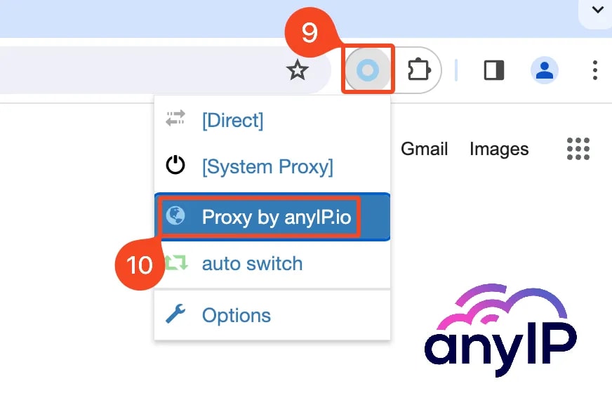 This screenshot shows how to select and use a profile in Proxy SwitchyOmega on Chrome.