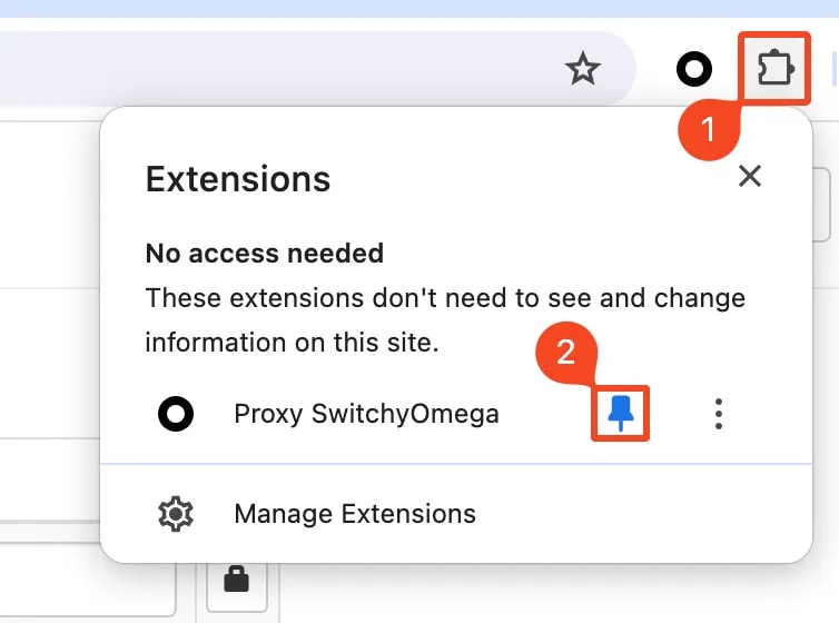 This screenshot shows how to pin an extension to the Google Chrome toolbar.