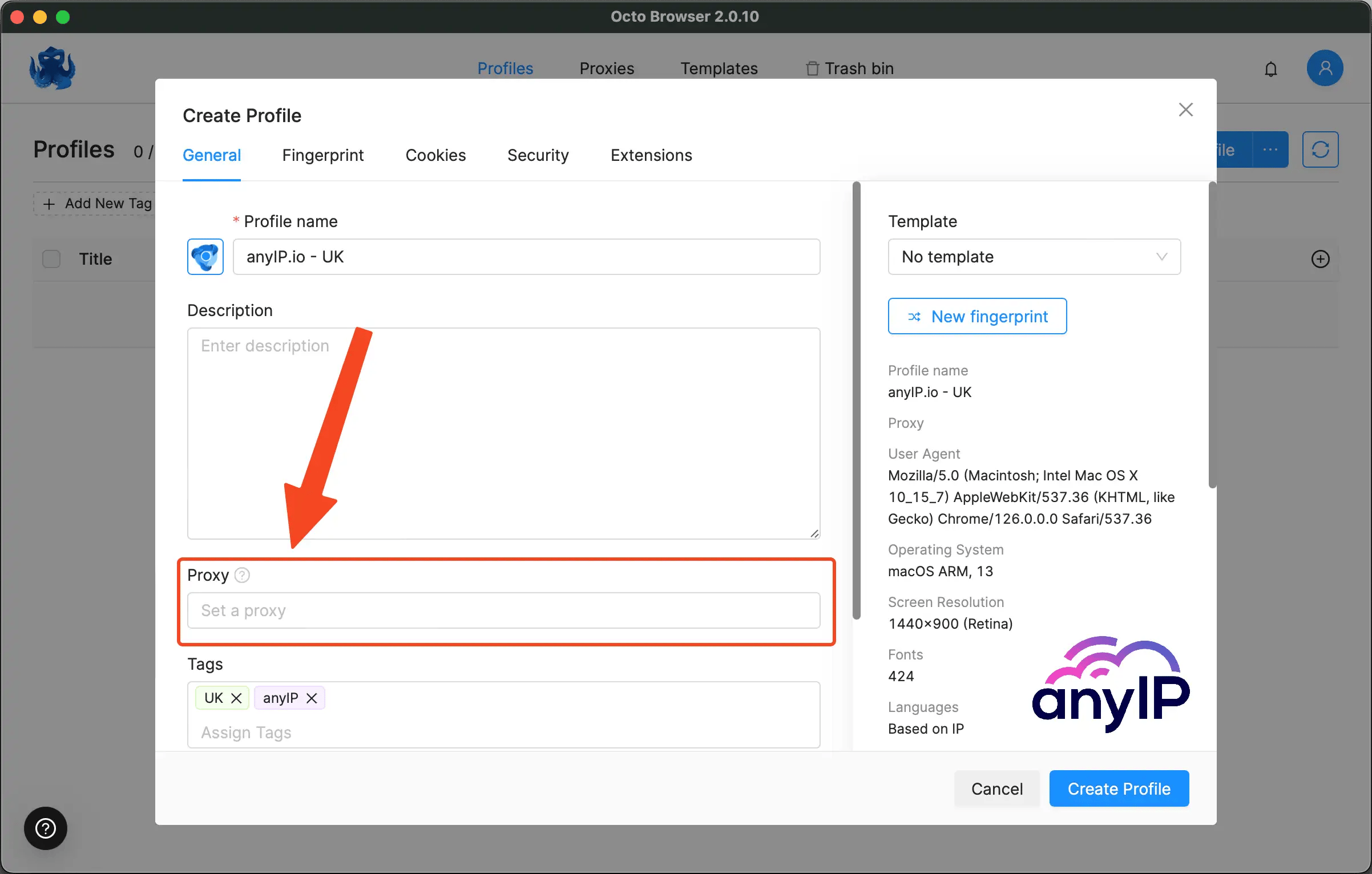 How to find the proxy field on the profile from on OctoBrowser antidetect 