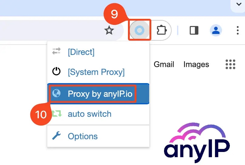 Select the proxy to connect to on SwitchyOmega on Chrome