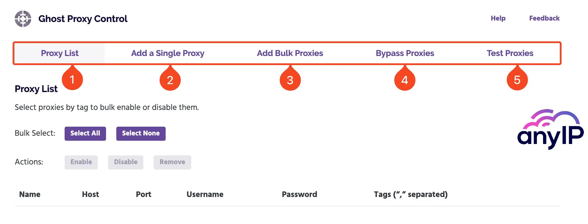 Overview of the Ghost Proxy Control extension's main settings and options