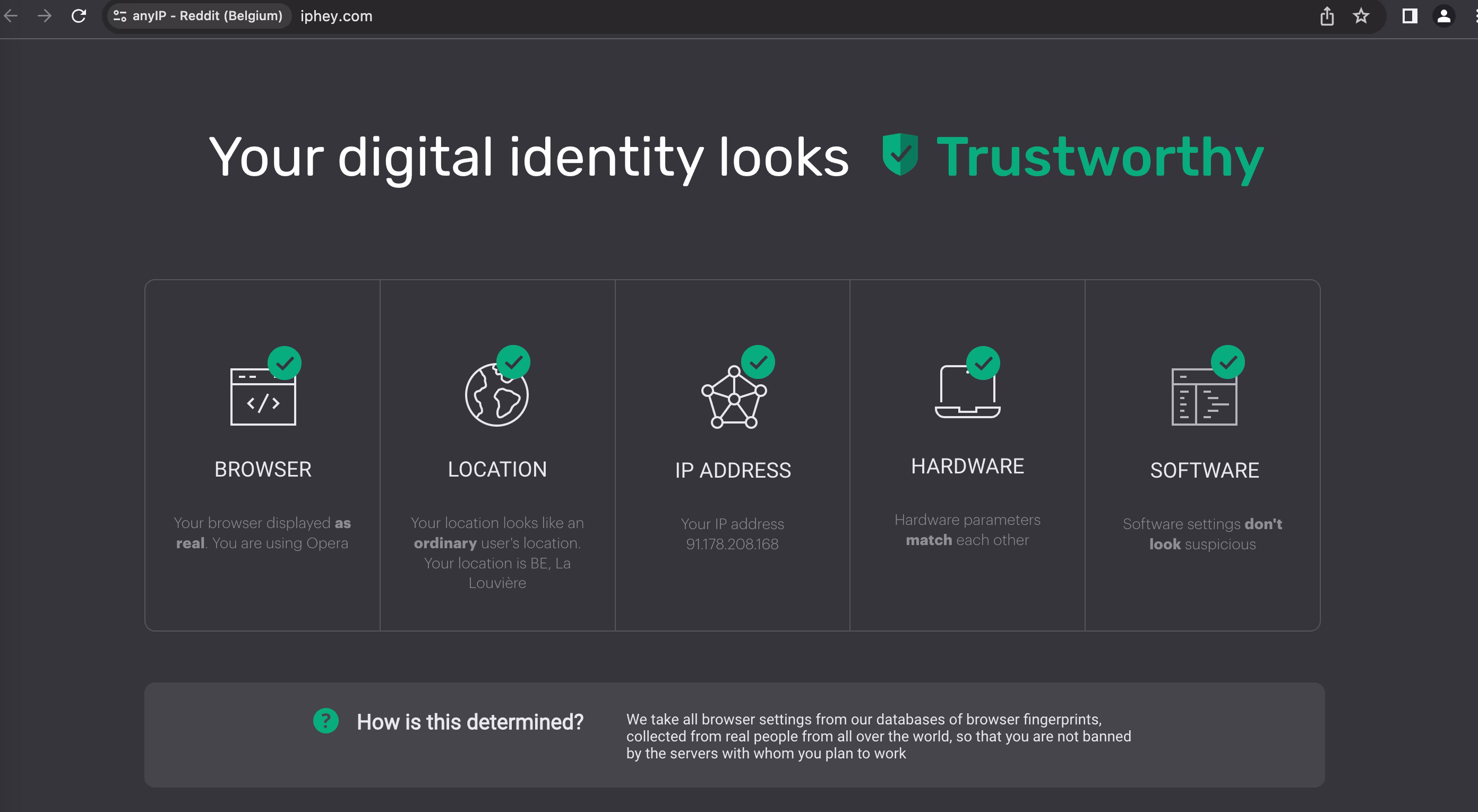 Iphey fingerprint's check from my hidemyacc's browser profile