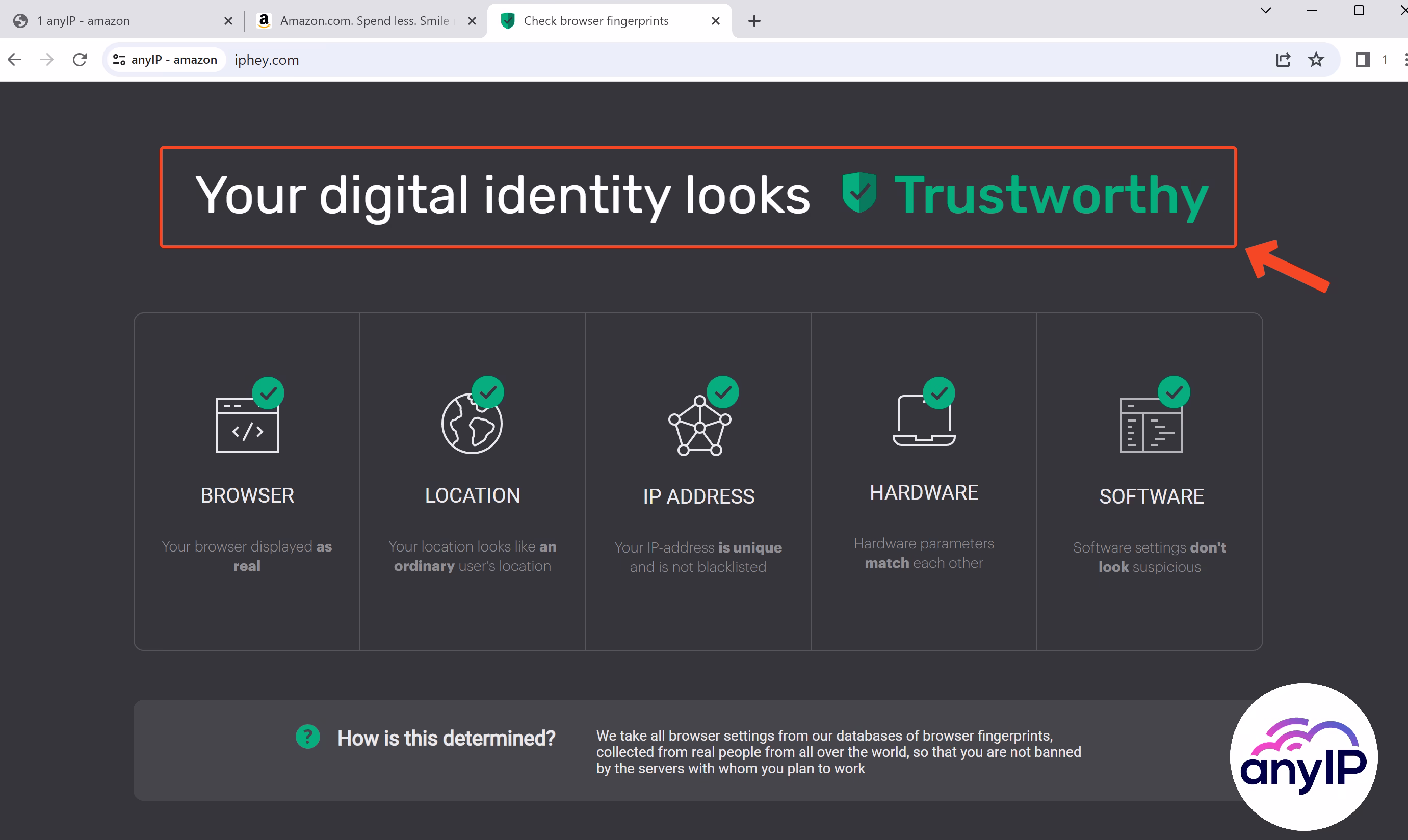 Result from iphey after a fingerprint authenticity check. 