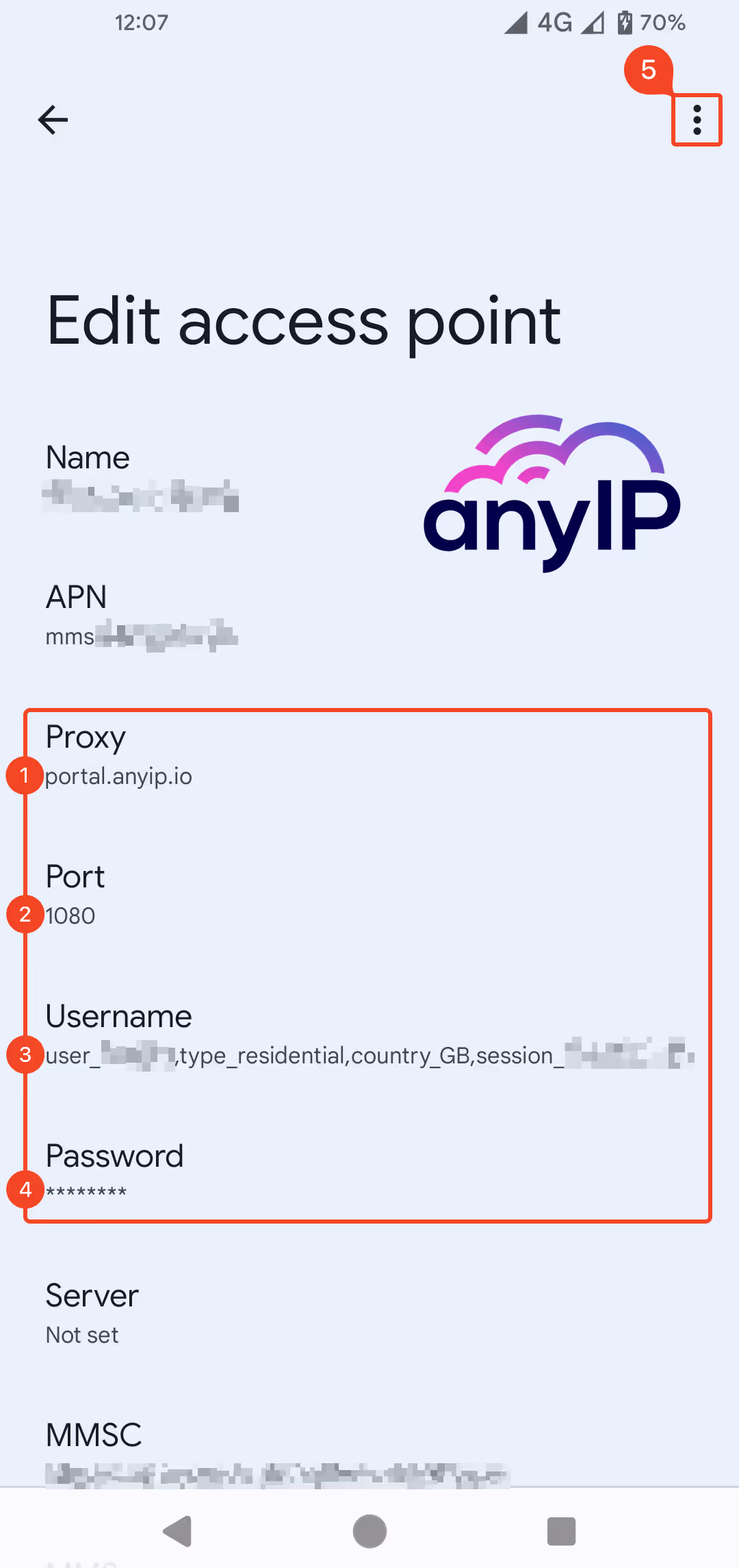 Example of how to edit the access point to add your proxy details
